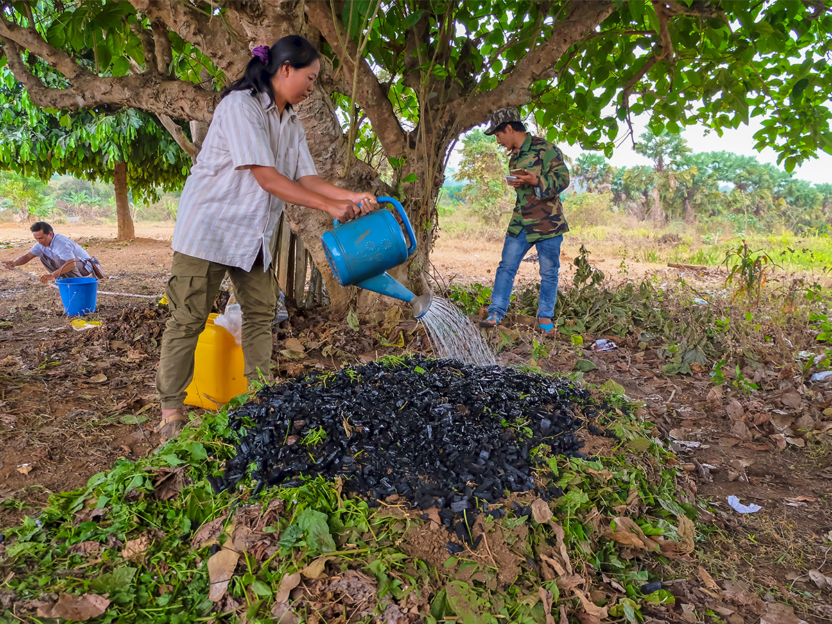 woman watering a charcoal over newly planted tree for reforestation